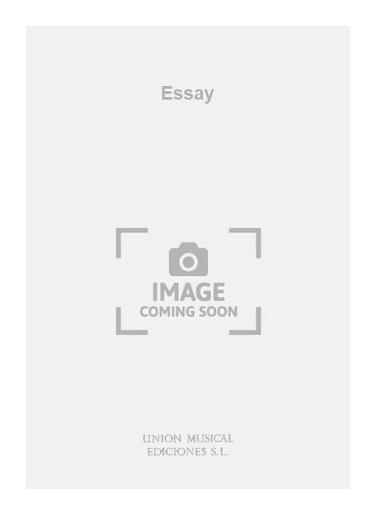 Essay